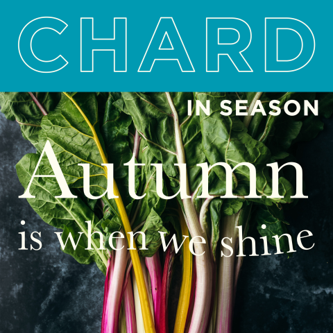 seasonal food autumn chard