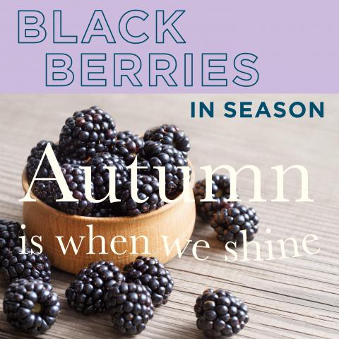 Black berries in season